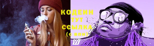 шишки Краснотурьинск
