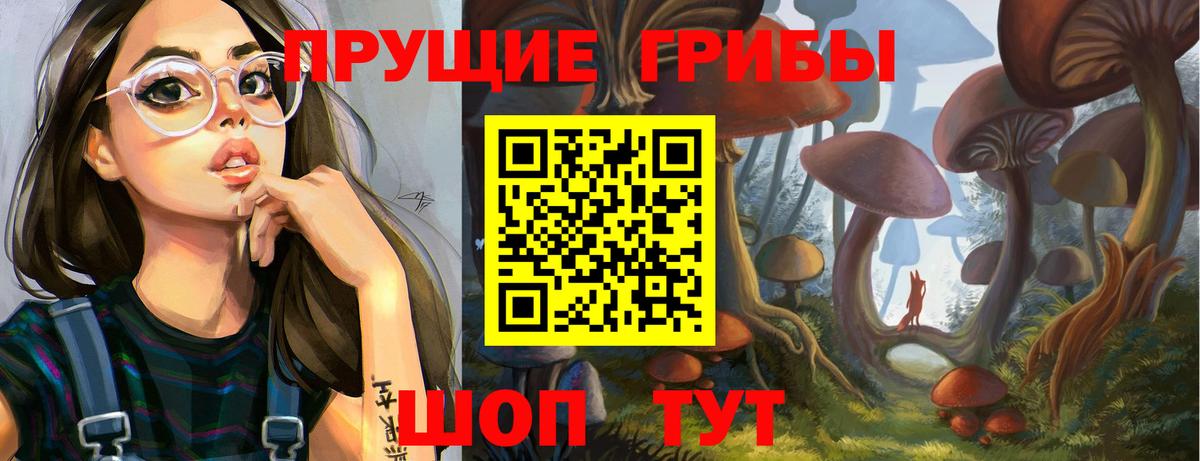 Галлюциногенные грибы Magic Shrooms  закладка  Михайловка  Вход с VPN 