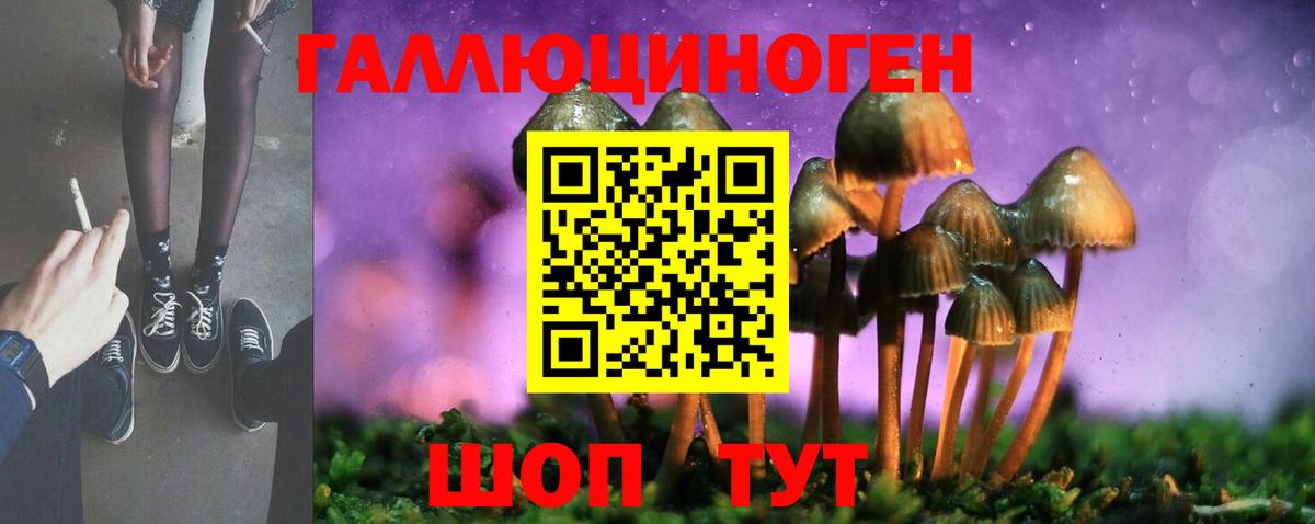 Псилоцибиновые грибы Magic Shrooms Михайловка